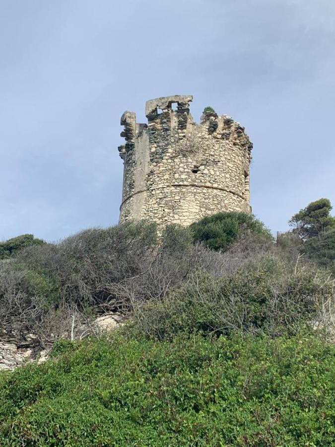 Domaine Amortella Saint-Florent - B&B Saint-Florent