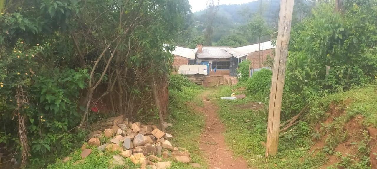 Qyani Country Side Stay - B&B