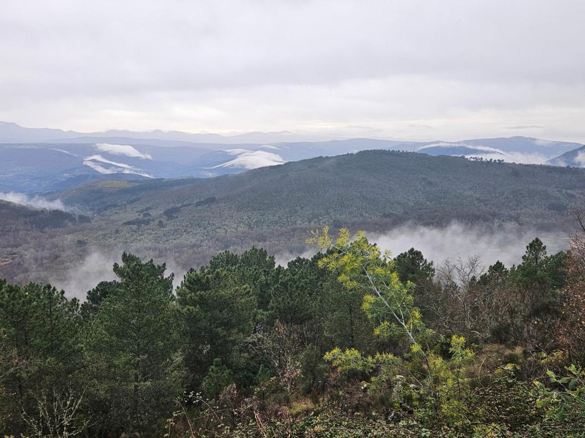 Casa Cefita - B&B Madroñal