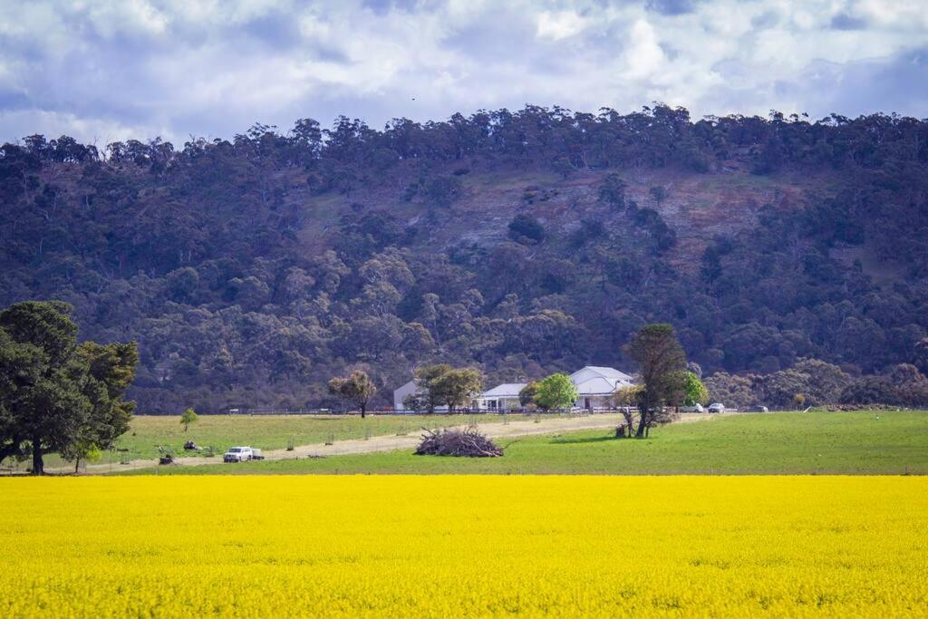 Beckworth Retreat - Ahh, the serenity! - B&B