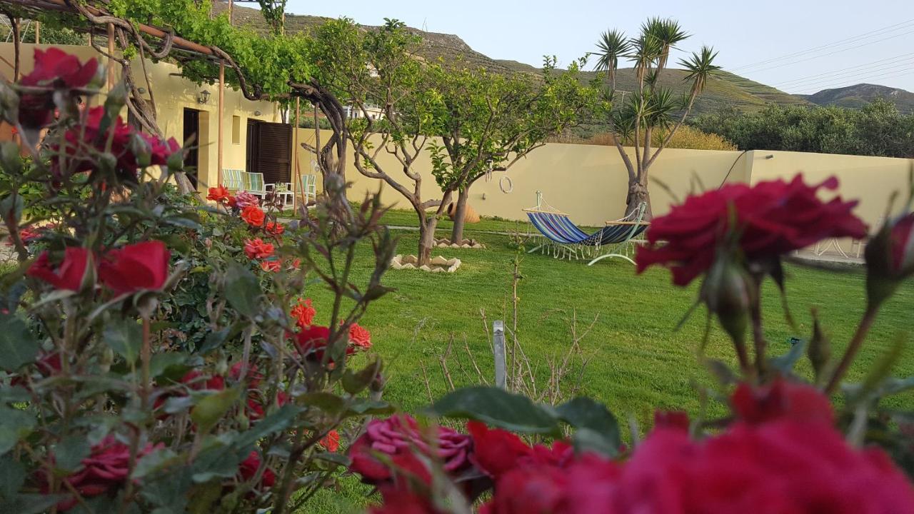 B&B Kíssamos - Wester Sun new apartment near Balos & Falassarna - Bed and Breakfast Kíssamos