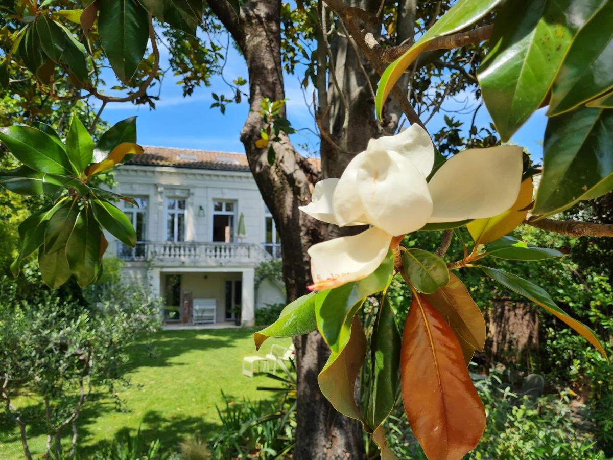 B&B Avignon - Villa Aigarden maison d'hôtes - Bed and Breakfast Avignon