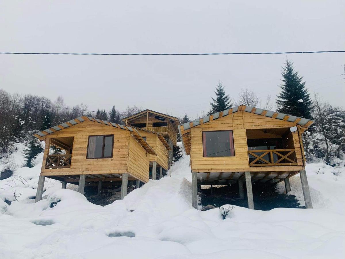 Huis met 1 Slaapkamer
