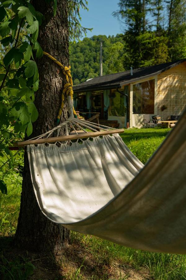 Bieszczadzka Samotnia - B&B Cisna