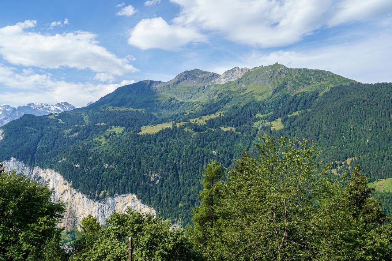 Chalet Krokus 6 - B&B