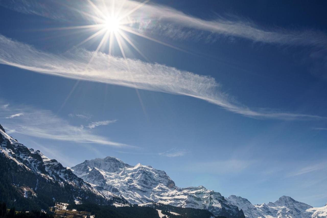 Kinohaus 7 - Ferienwohnung Wengen