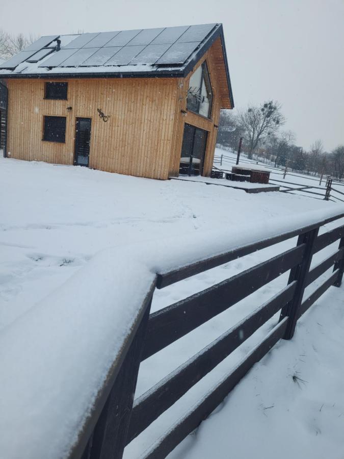 JASZCZURKA, domek nad rzeką, Zwierzyniec, Roztocze, Jacuzzi, Sauna - B&B Zwierzyniec