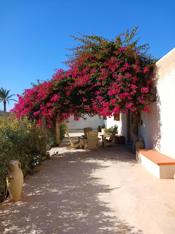 Menzel Sonia Caja - Bed and Breakfast Arhir