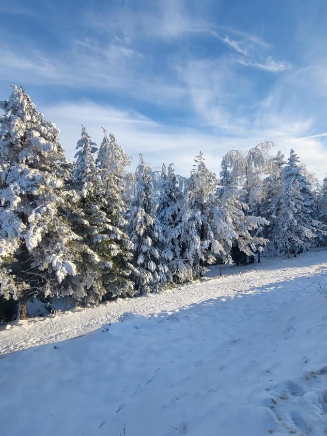 Lovac apartmani - B&B Zlatibor