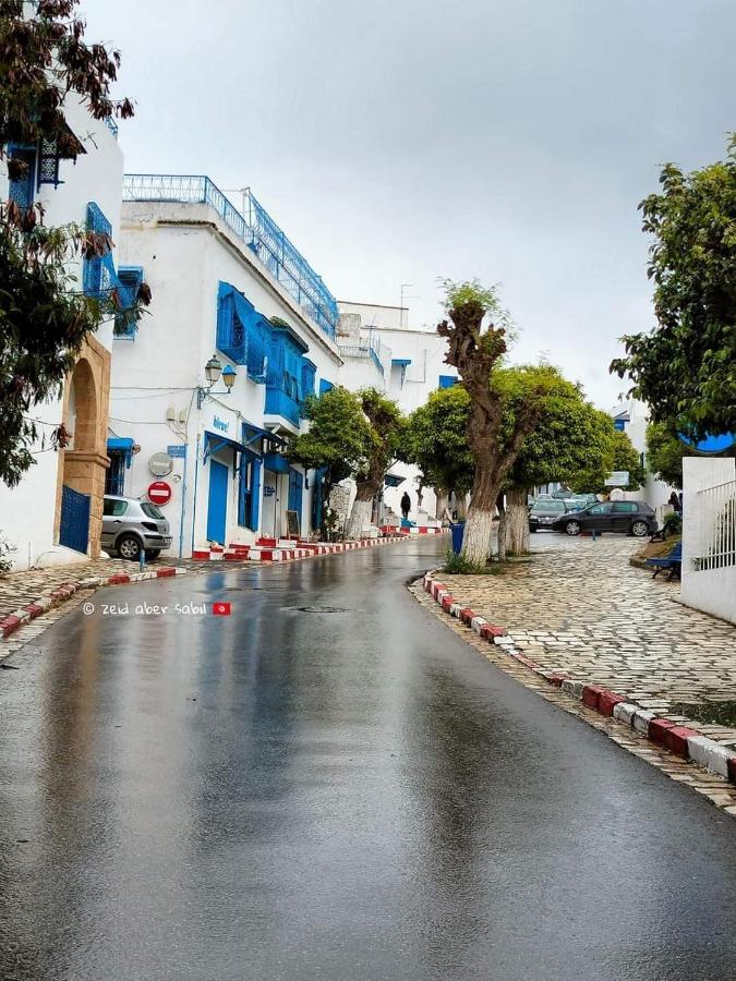 B&B Sidi Bou Said - Beautiful studio in the center of sidi bou said village - Bed and Breakfast Sidi Bou Said