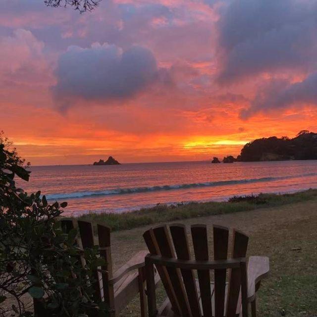 Oakura Bay Absolute Beachfront Holiday Home - B&B Hikurangi