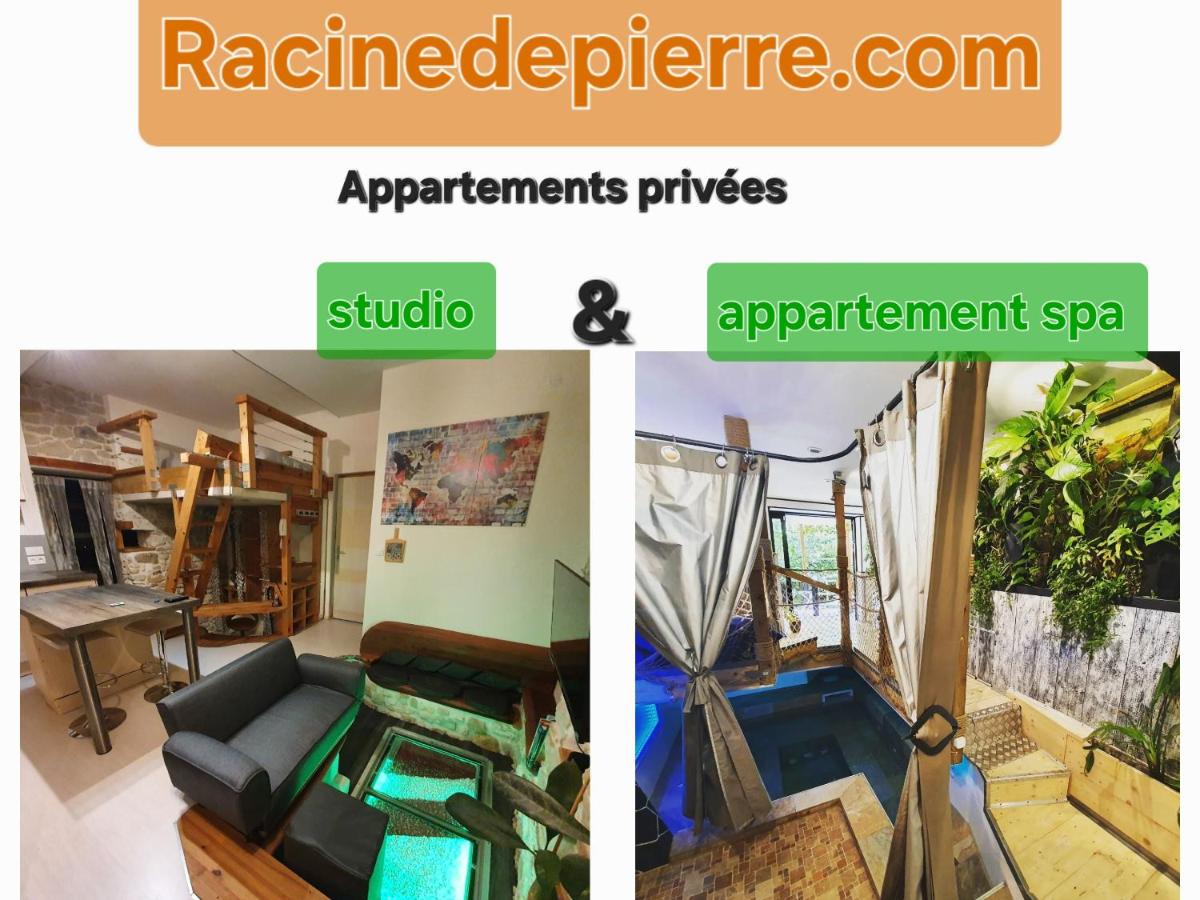 B&B Castres-sur-l'Agout - Racine De Pierre - Bed and Breakfast Castres-sur-l'Agout