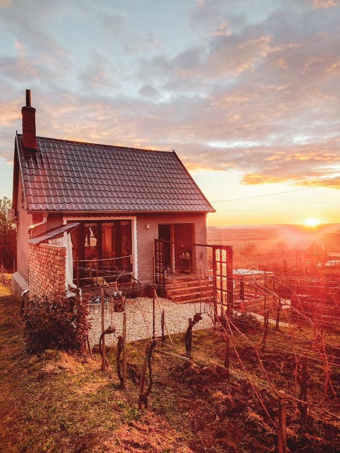 Csipke Somló Vendégház - B&B