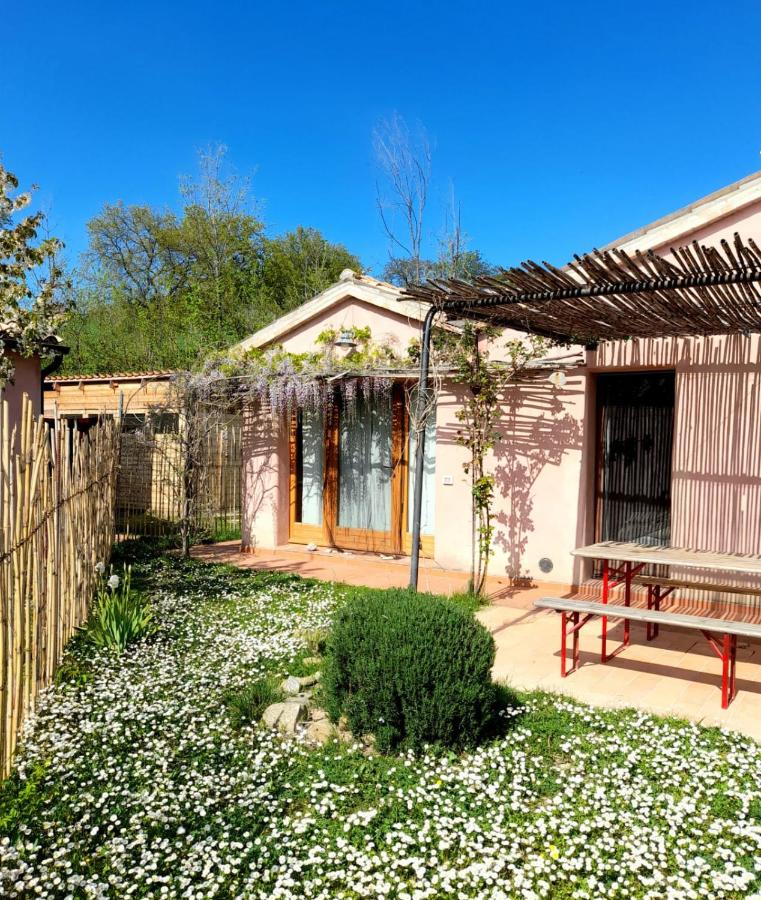 La luna nell'orto-casa vacanza ecologica e agricoltura biodinamica - Bed and Breakfast Barchi
