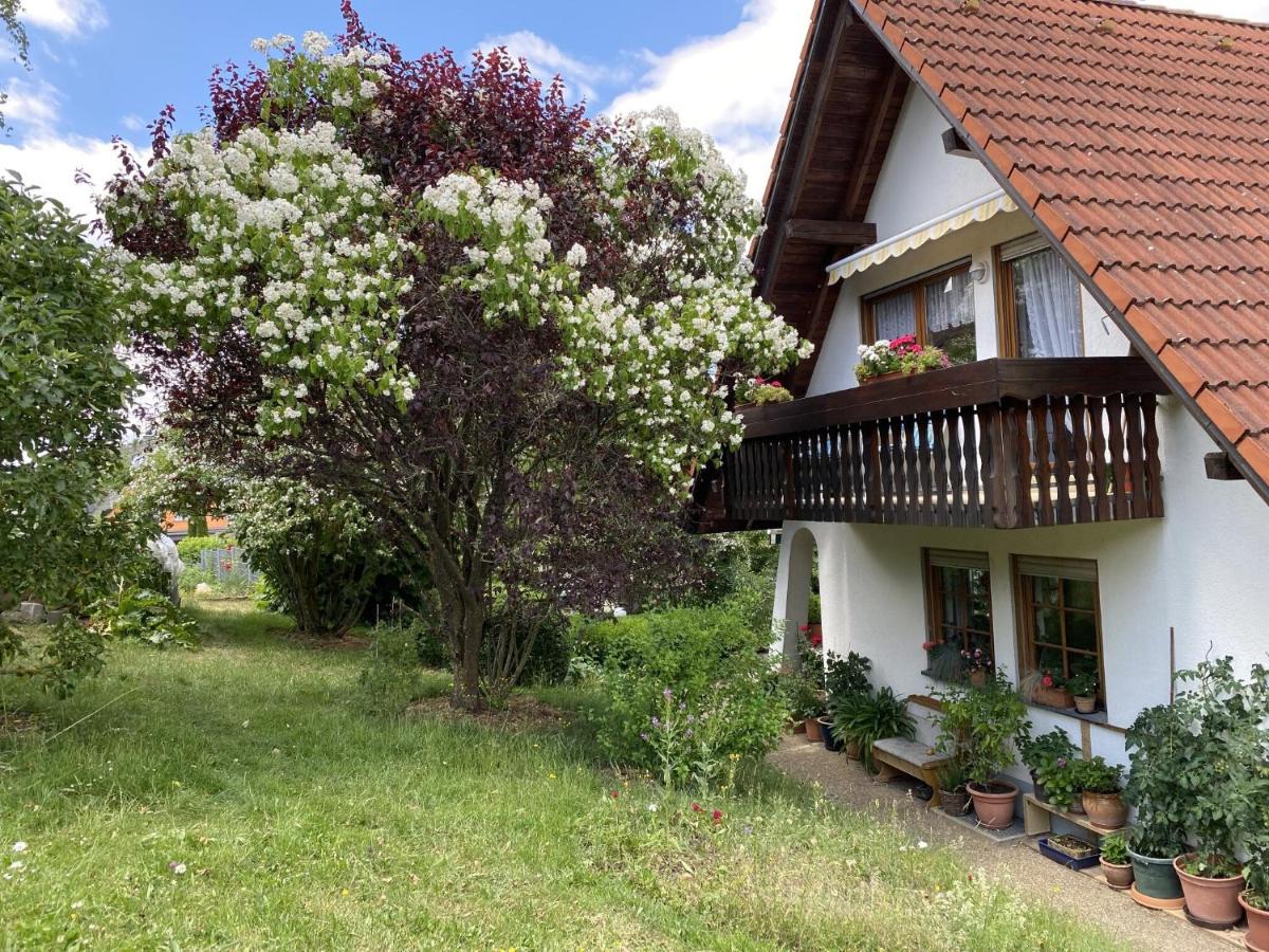 B&B Löffingen - Ferienwohnung Birkenberger - Bed and Breakfast Löffingen