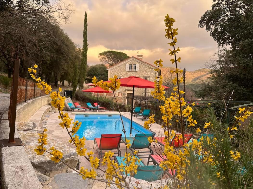 La Viste - SPA-JACUZZI - MASSAGE- SAUNA - 4 SAISONS - Piscine Chauffée Toute l'année - Heated POOL - 800m City Centre - B&B Nyons