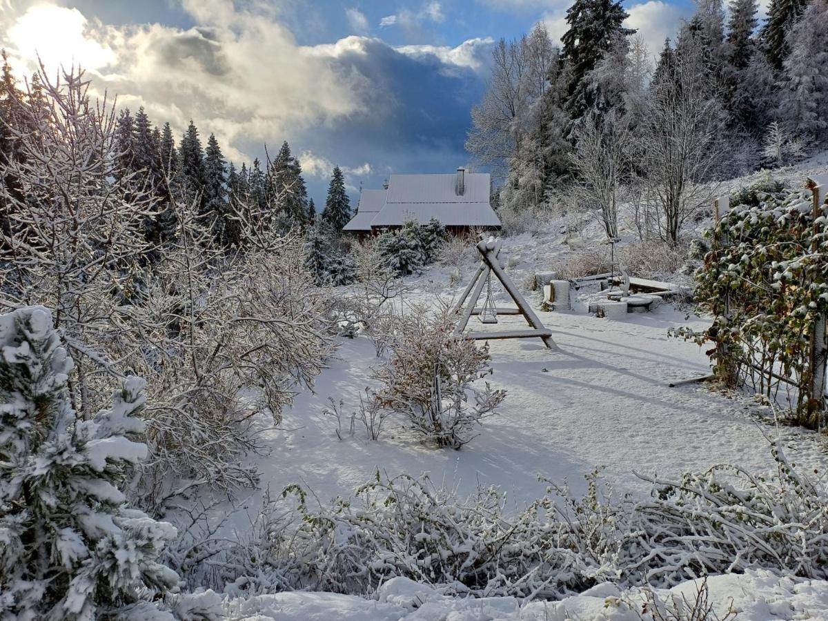 Domek w górach SmoLenisko - B&B Nowy Targ