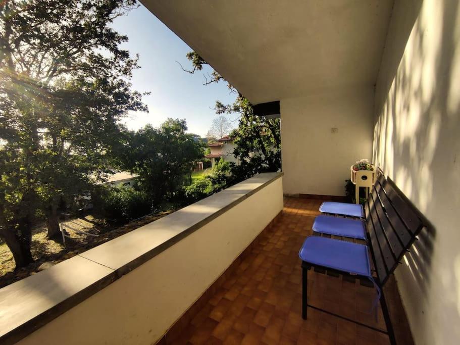 Appartamento con giardino - B&B Anzio