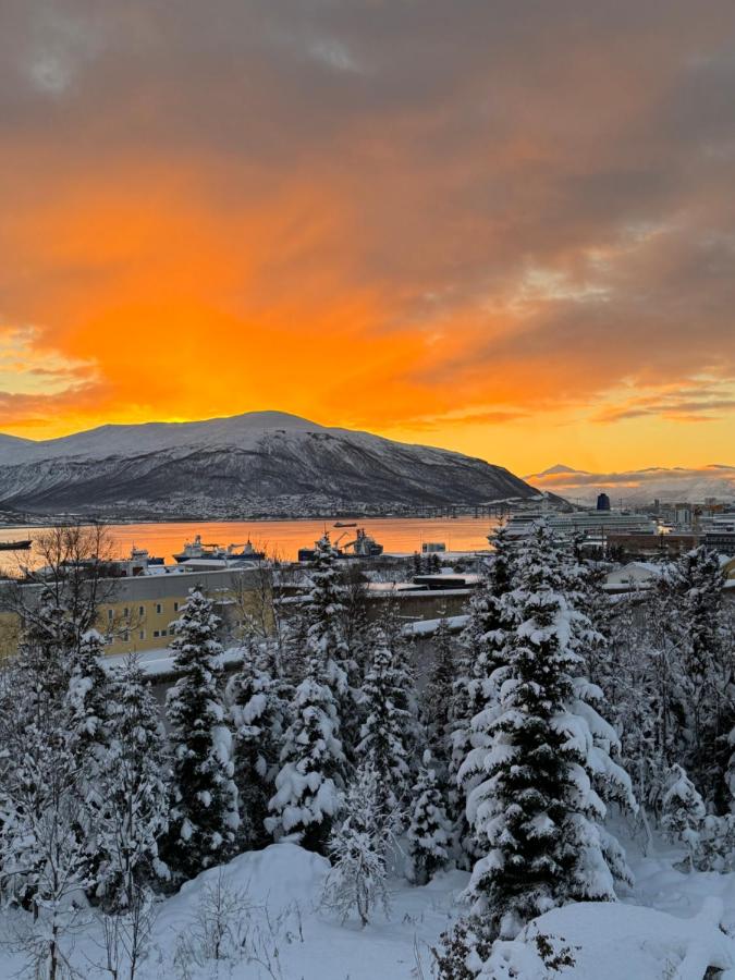 B&B Tromsø - Spacious apartment with 3 bedrooms next to amazing nature - Bed and Breakfast Tromsø