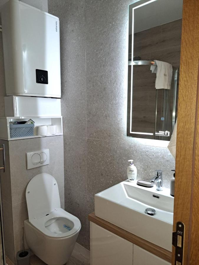 Apartment mit 1 Schlafzimmer