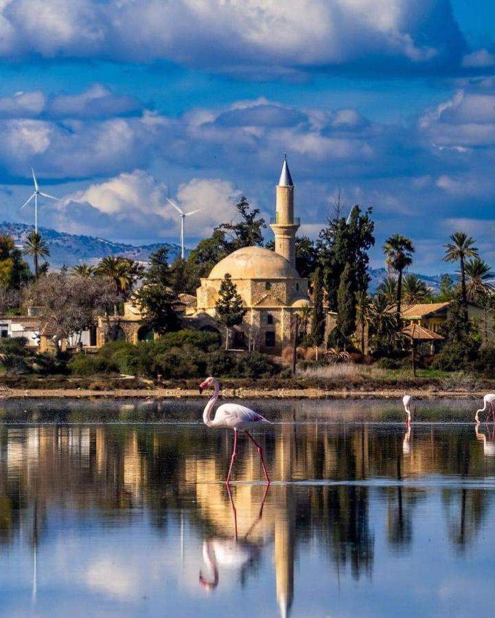 STEFARIS "koutsou court 105" - Ferienwohnung Larnaka