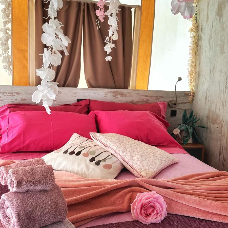 Tenda Glamping Superior