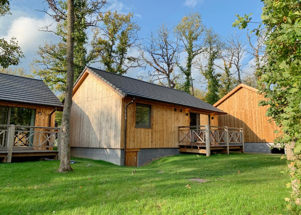 Bois de l'Ourthe 202 - Bed and Breakfast Somme-Leuze