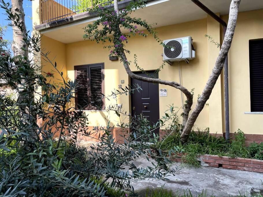 Casa Bouganville - B&B