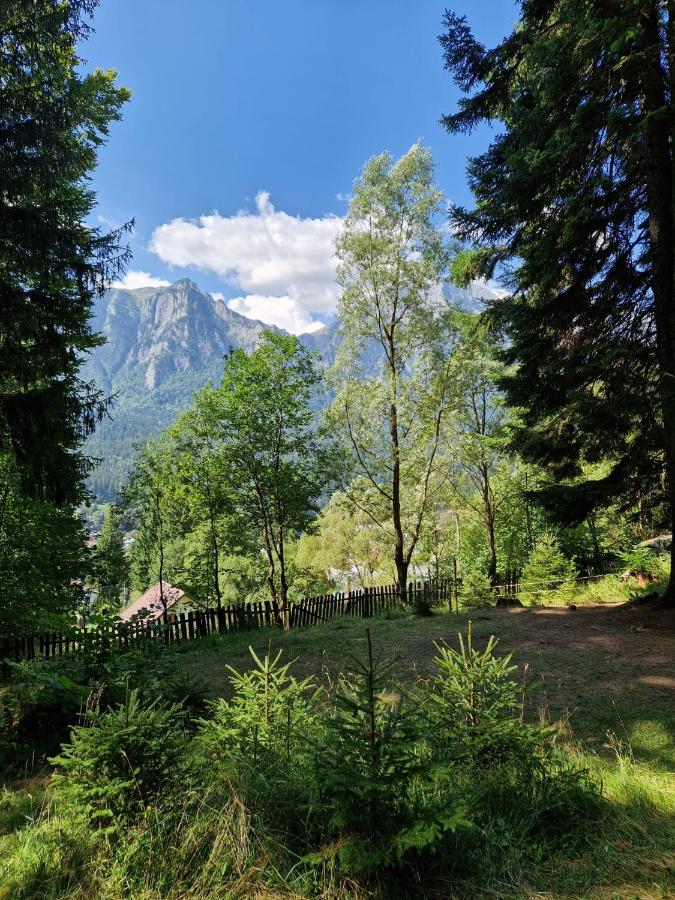 Suite with Mountain View
