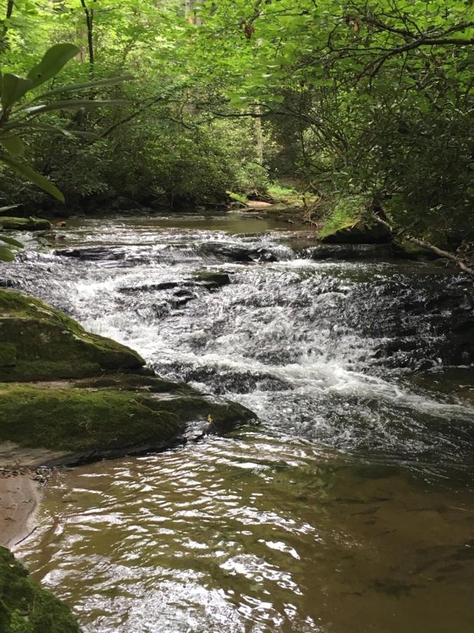 Pine Log Lodge - B&B Jefferson