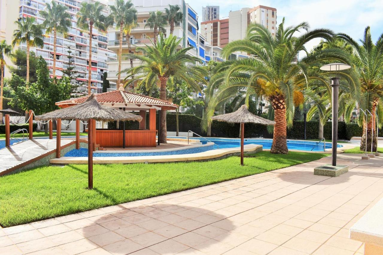 B&B Benidorm - COZY APARTEMENT VILLA CAPRI - Bed and Breakfast Benidorm