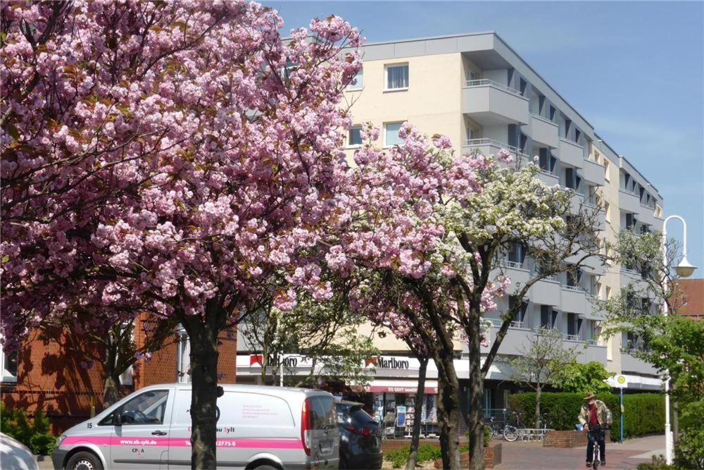 Haus-Ankerlicht-1-OG-Wohnung-66 - B&B
