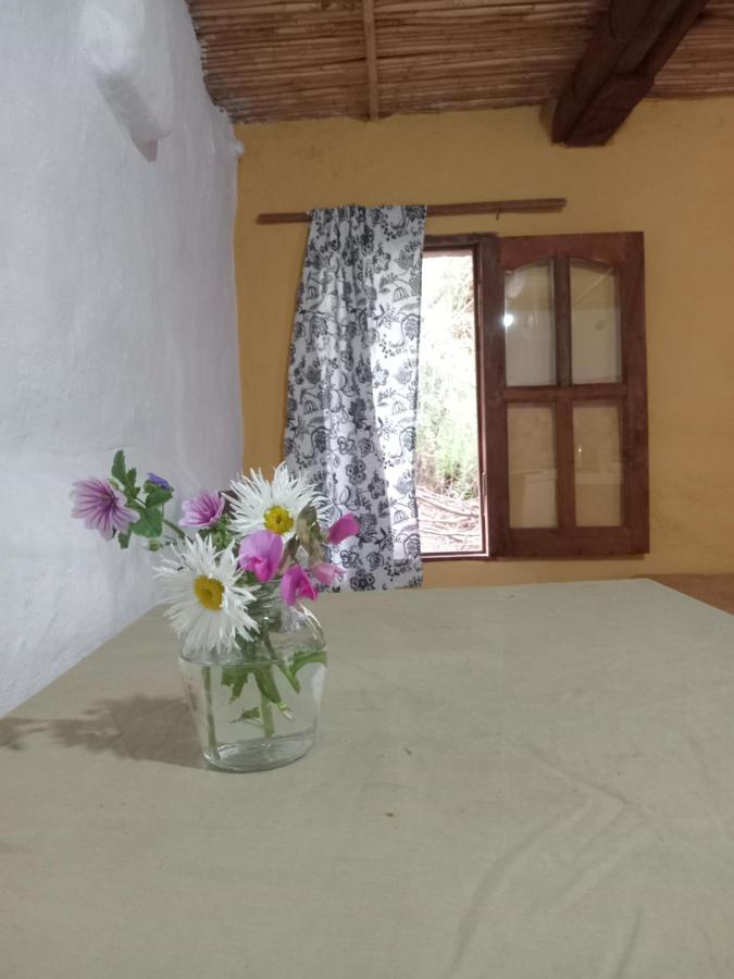 Habitacion doble con baño privado - Chambres d’hôtes