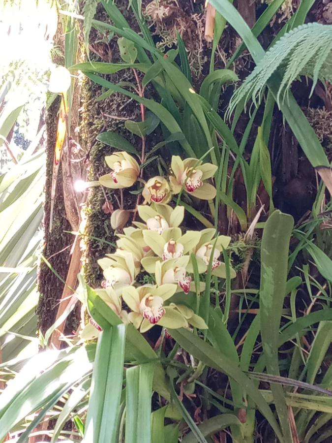 Habitación con cama extragrande.
