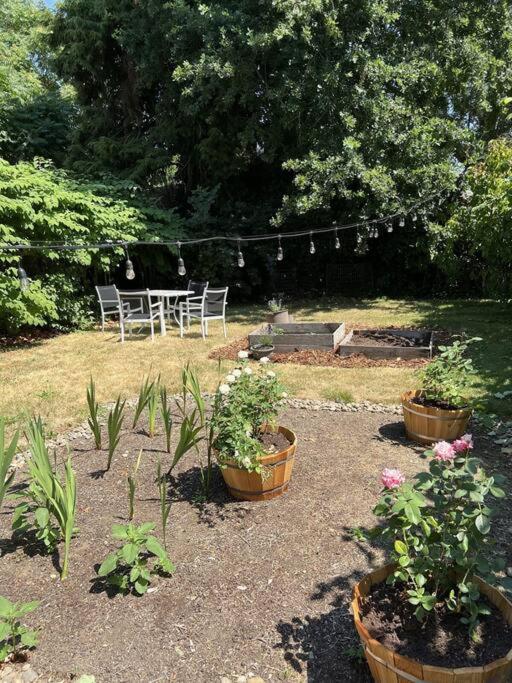 Alice- The Wonderland Experience - B&B Salem