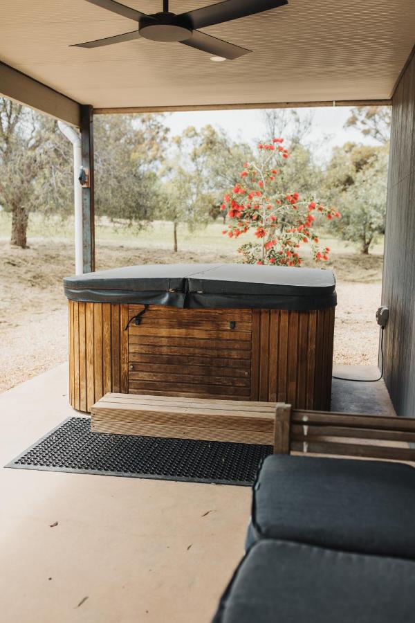 The Olive Farm - B&B
