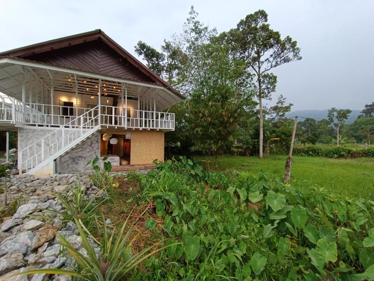 B&B Semenyih - Wabi Sabi House Broga - Bed and Breakfast Semenyih