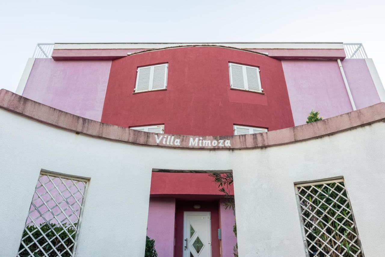 Apartments Mimoza - B&B