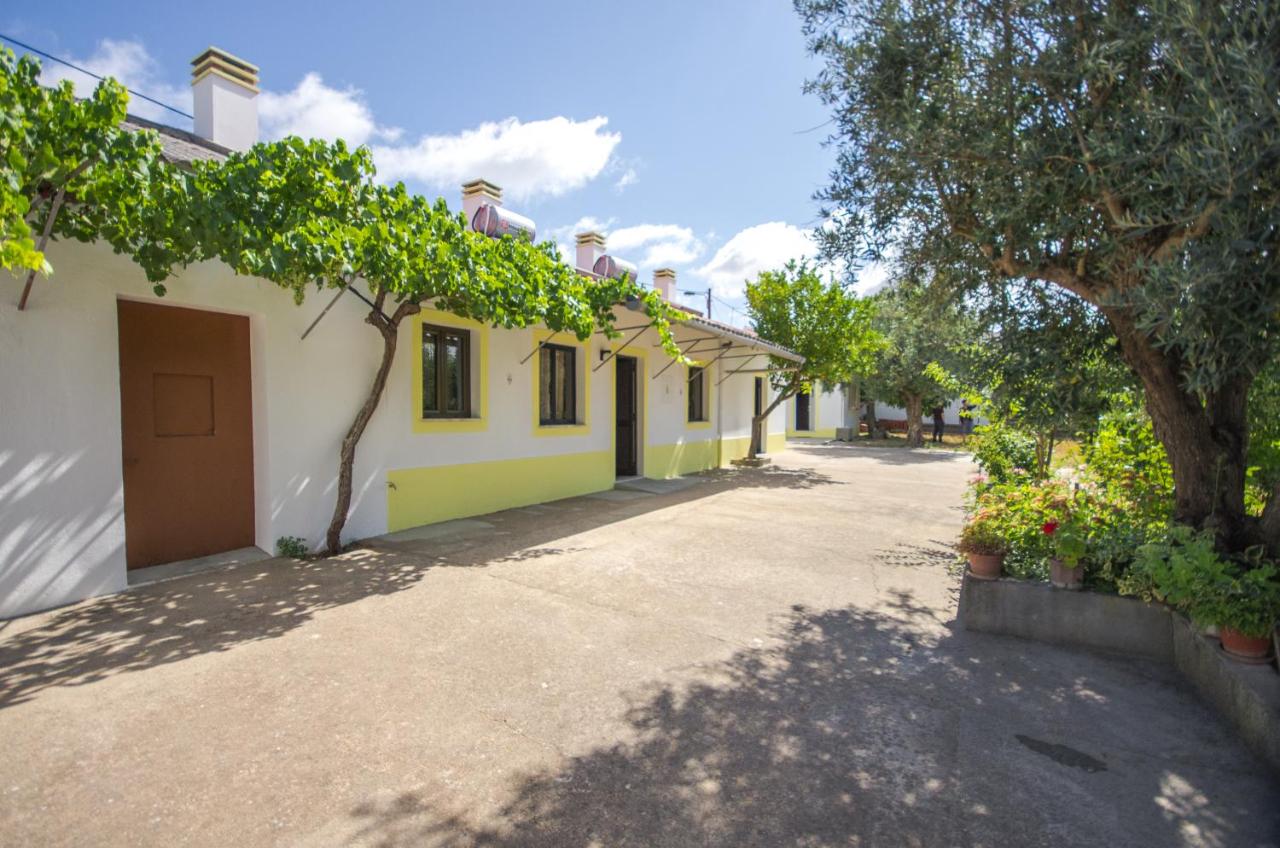 Oliveira Country House - Ferienwohnung