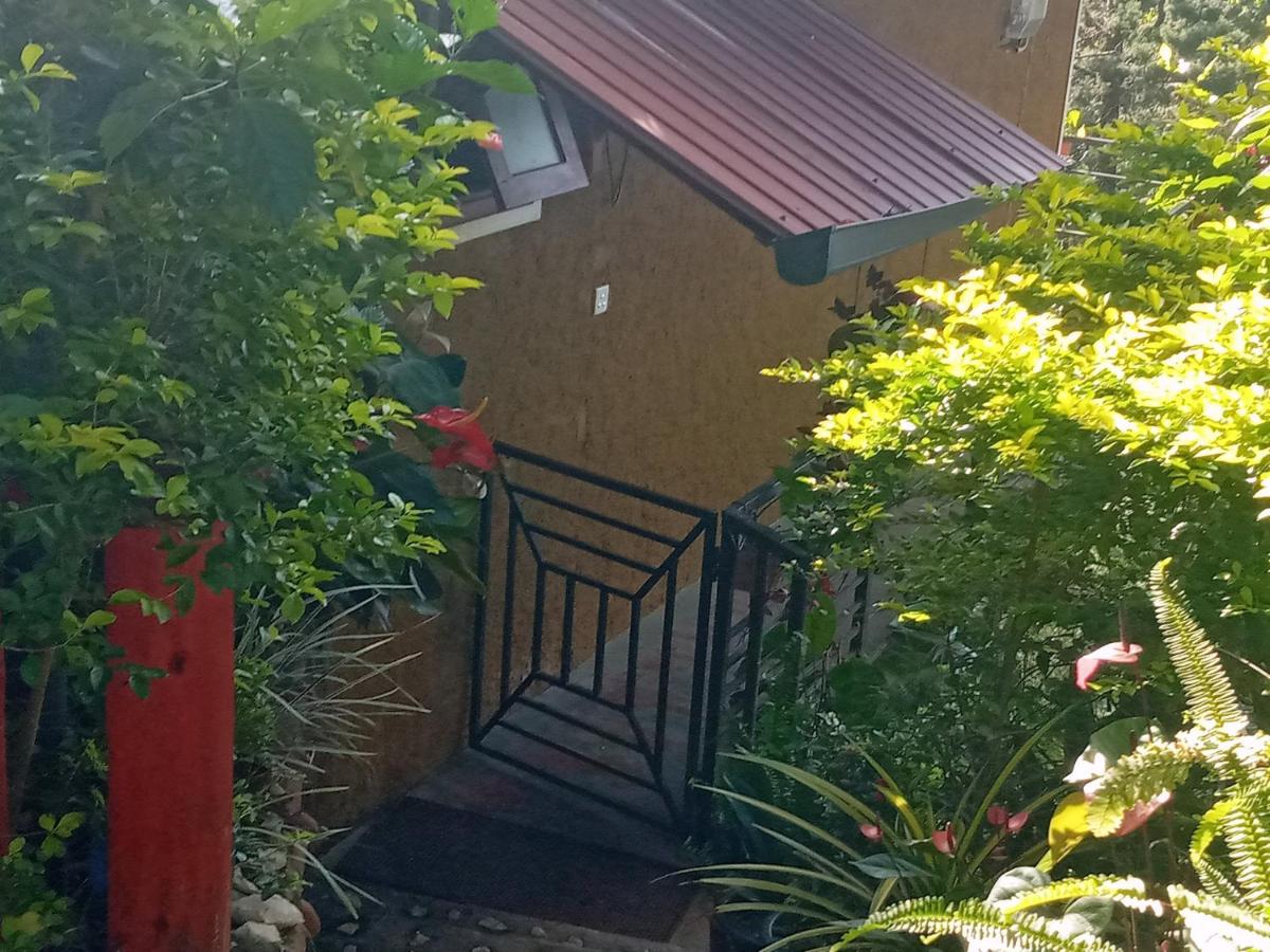 NETHSARA cottage - B&B