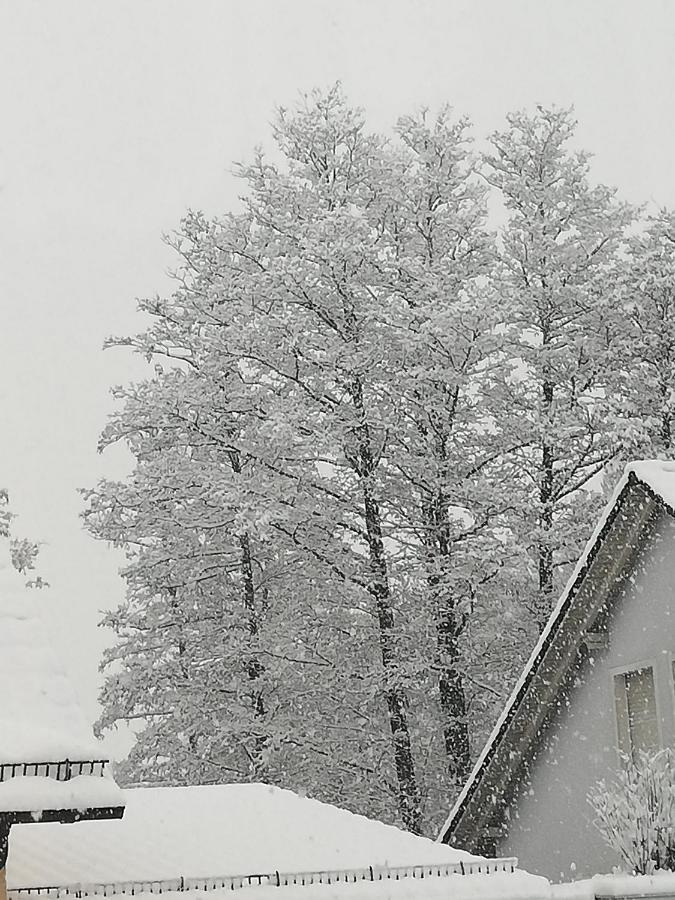 Camera Singola con Doccia e Servizi Igienici in Comune
