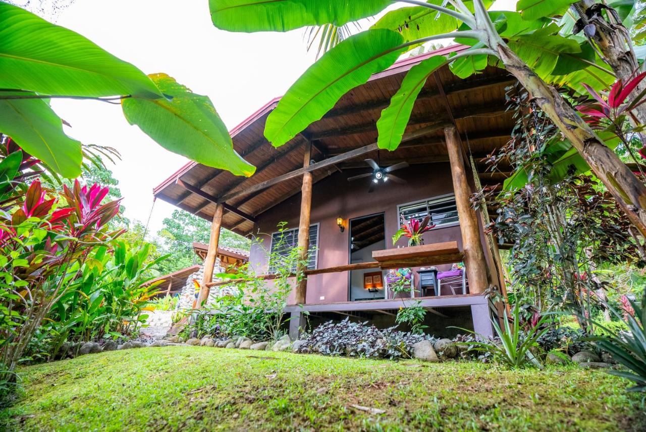 Toucan Villa -riverfront With Pool & Near A Beach - B&B