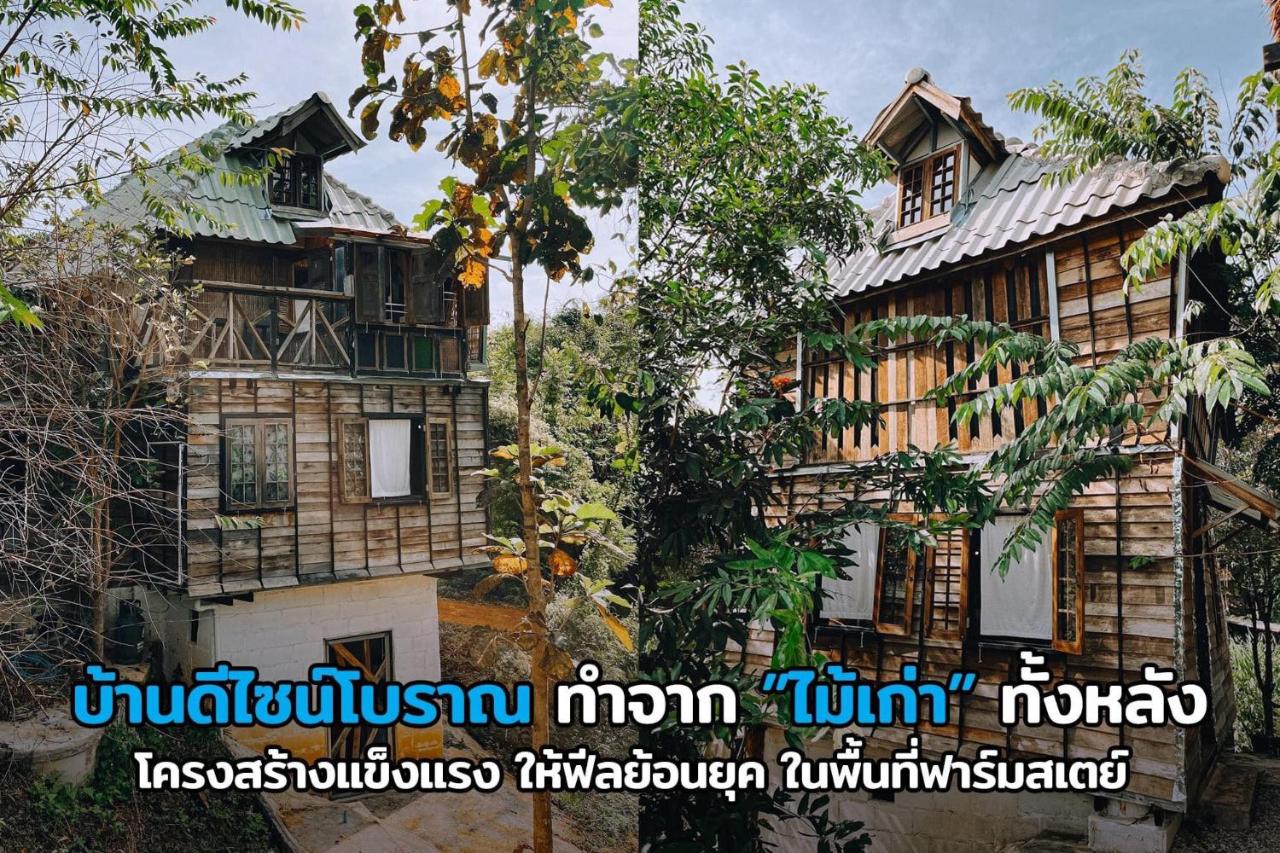 Bungalow Familiare 