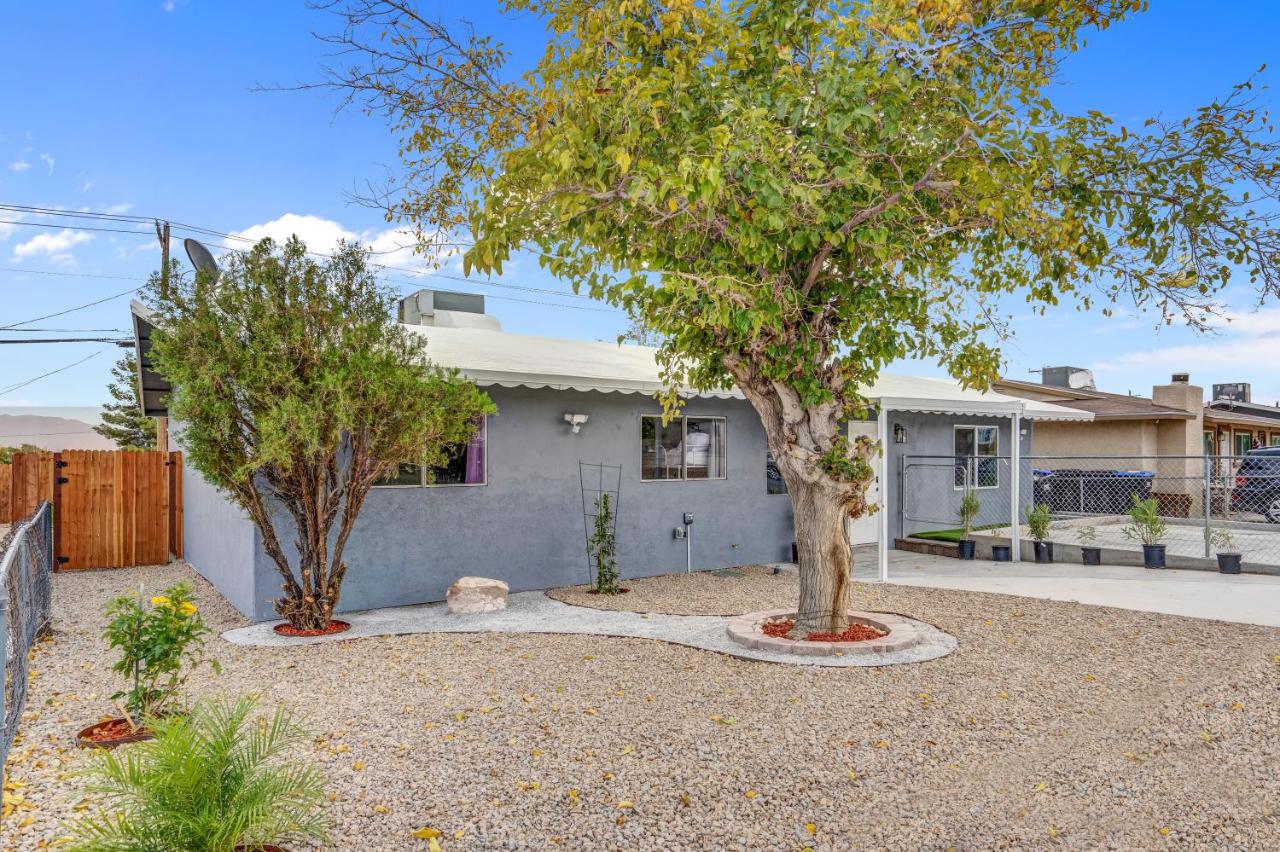 Big Group, Remodeled, Landscaped, King Beds, Desks - B&B Las Vegas