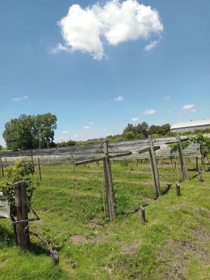 casa de campo, Bodega Di Candi - B&B