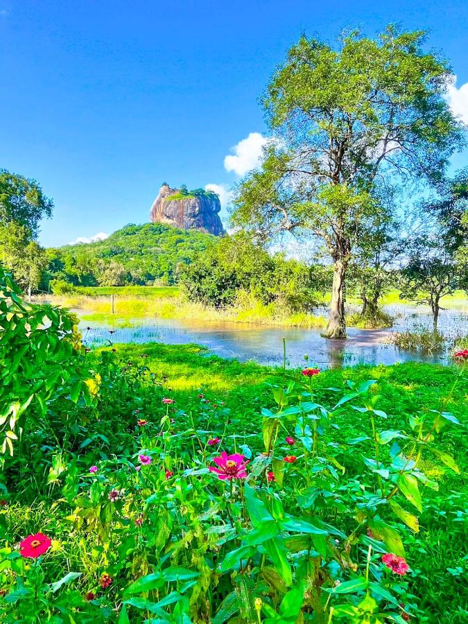 B&B Sigiriya - The Fun Hostel - Bed and Breakfast Sigiriya