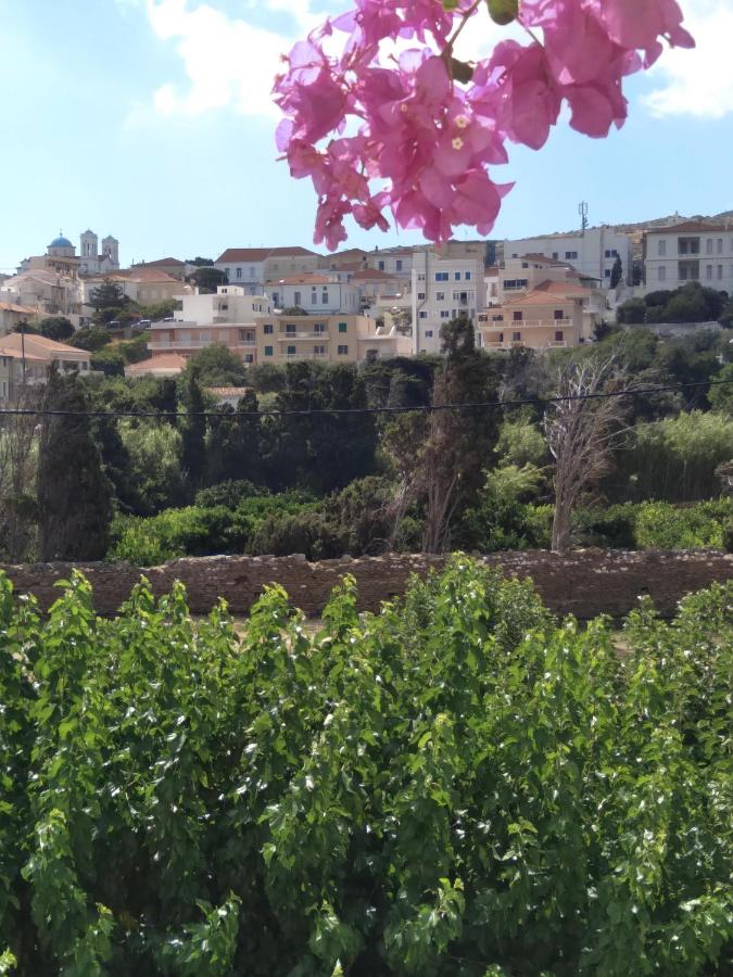 Iokasti studios - B&B Andros