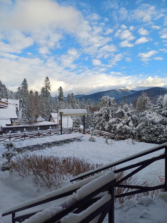 Apartamente Private A&L View - B&B Sinaia