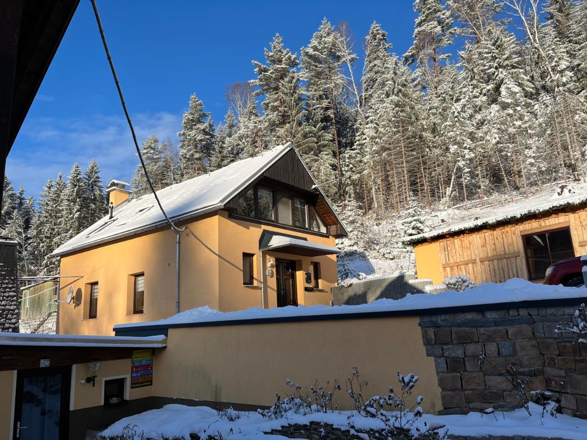 Ferienhaus Wernesgrün - B&B Wernesgrün