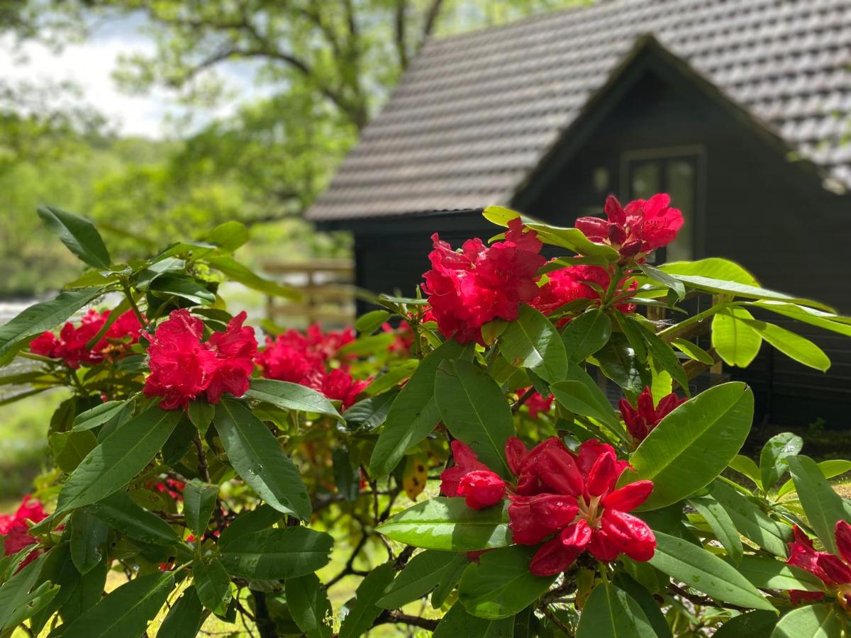 B&B Spean Bridge - Burnbank Lodges - Bed and Breakfast Spean Bridge